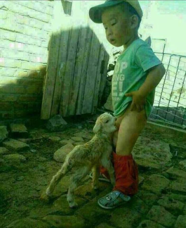 Saorma - 9695076792444487590171335563762n.jpg